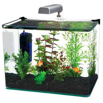 Penn Plax 10 Gallon Fish Tank