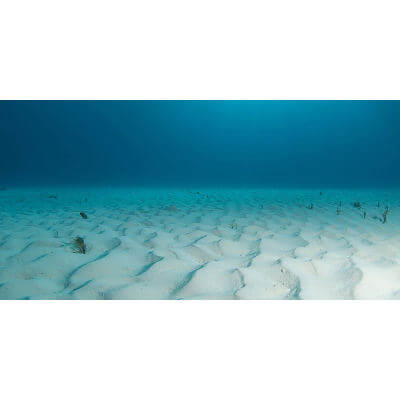 Download 57+ Background Ocean Aquarium Terbaik